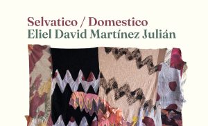 Selvatico / Domestico - Mostra di Eliel David Martinez Julián alla Momart Gallery